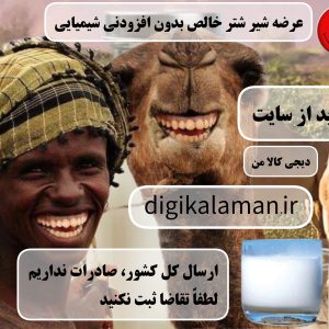 شیر شتر خالص و بدون مواد افزودنی شیمیایی
