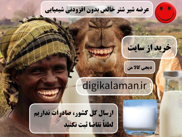 شیر شتر خالص و بدون مواد افزودنی شیمیایی